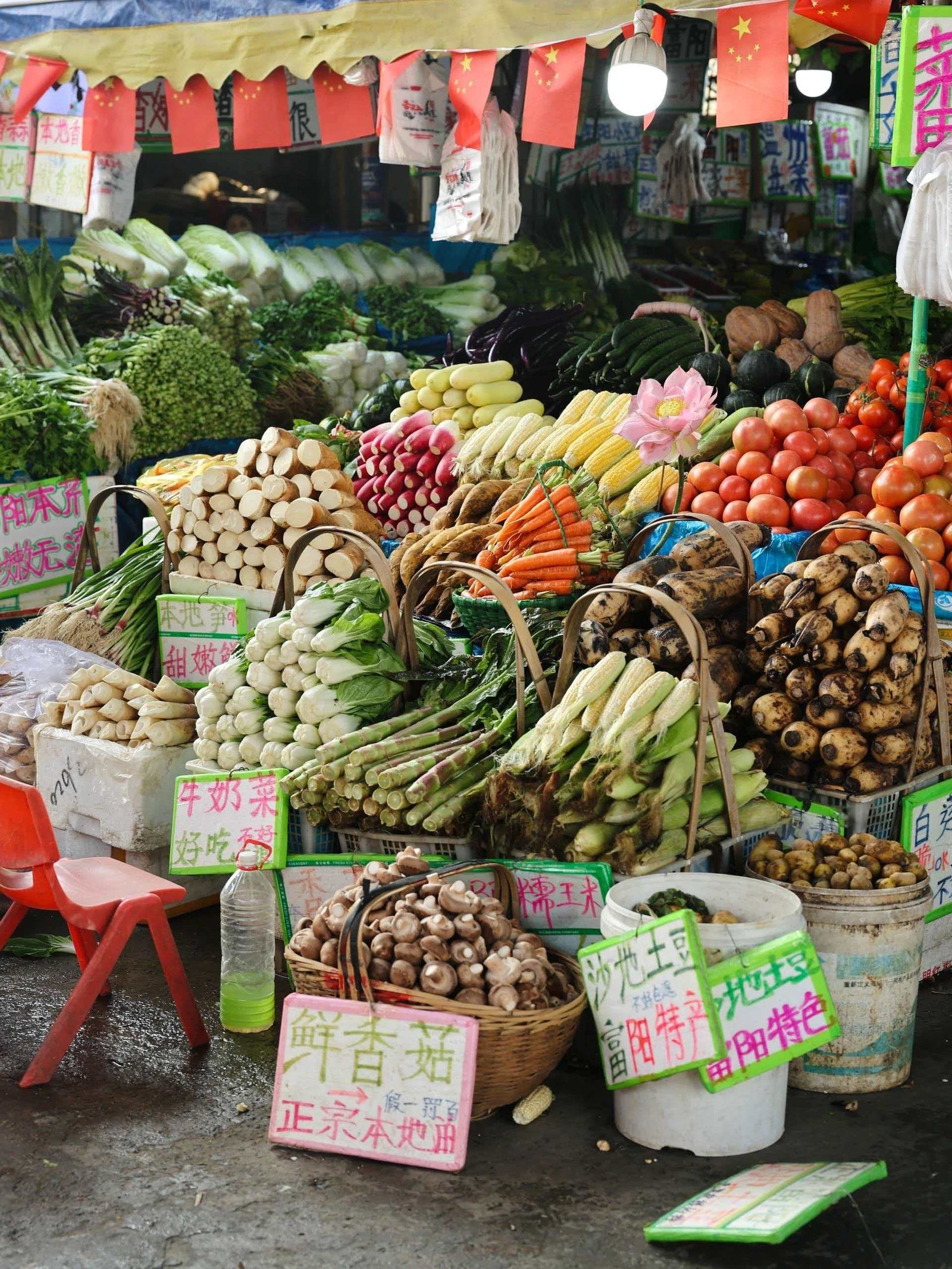 Fresh Vegetable Market